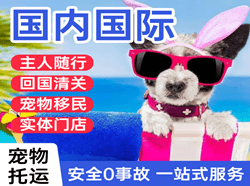 长安机场物流国际宠物托运 【国